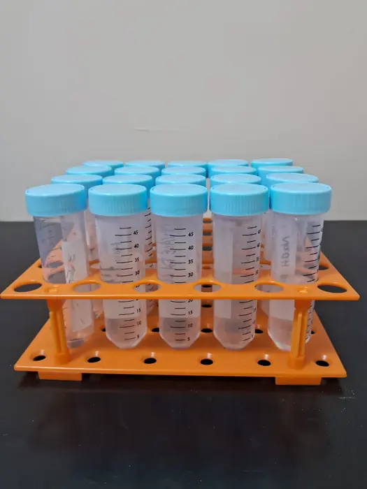 Tubos de ensaio em suporte no laboratório
